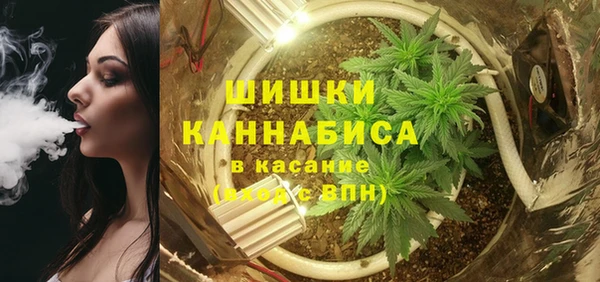 сатива Богородицк