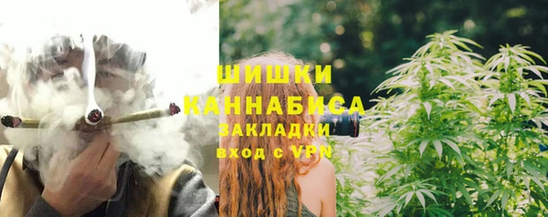 шишки Бронницы