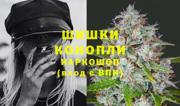 шишки Бронницы
